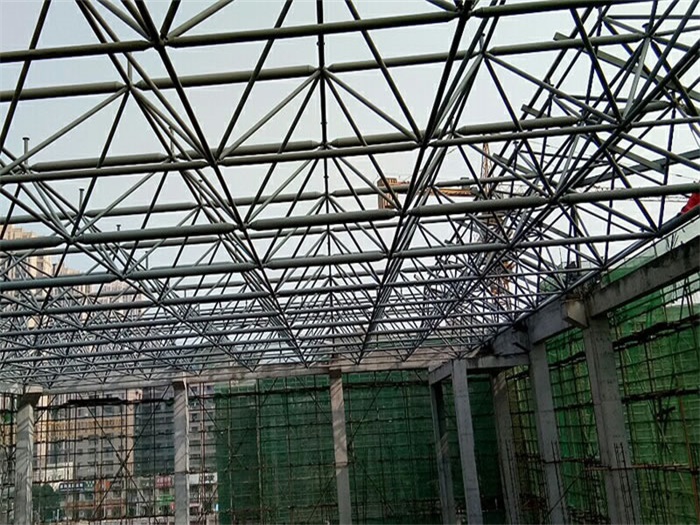 迪庆光谷第十一小学网架